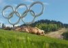 Богата љетна понуда привукла велики број гостију, посебно из региона